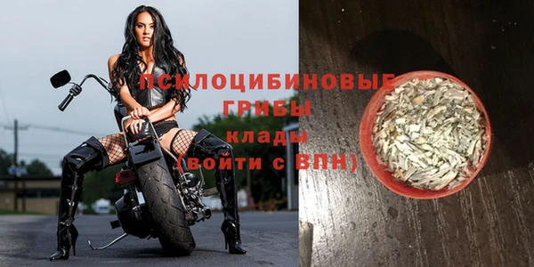 марки lsd Краснослободск
