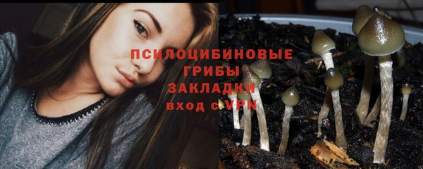 мескалин Козельск
