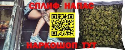 сатива Заволжье