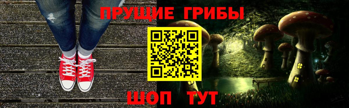 Псилоцибиновые грибы Psilocybe Мелеуз