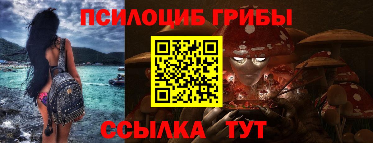 Псилоцибиновые грибы Psilocybe  Вход с VPN  Псилоцибиновые грибы ЛСД  Мелеуз 