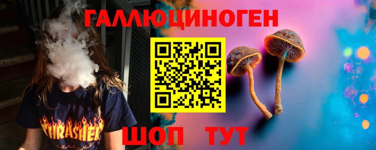 Галлюциногенные грибы Psilocybe  Мелеуз  Галлюциногенные грибы Magic Shrooms 